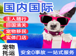 拉萨机场快递国际宠物托运 【国